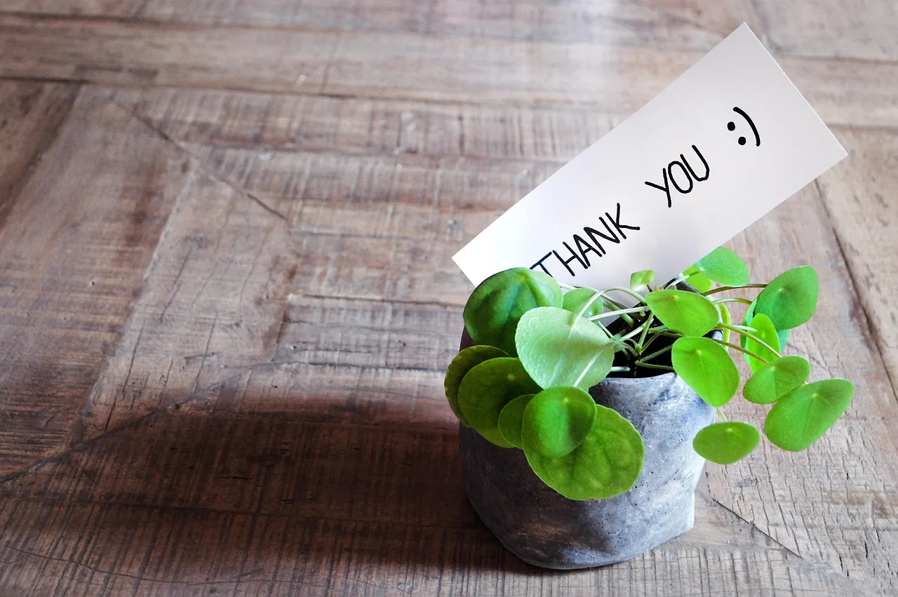 thank you, thank you card, table, plant, pot, modern, wooden table, feedback, map, write, ballpoint pen, nature, greeting card, greeting, communication, post office, news, information, smiley, good mood, positive, english